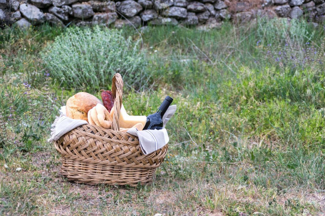 Casa De Belharino Farm stay *